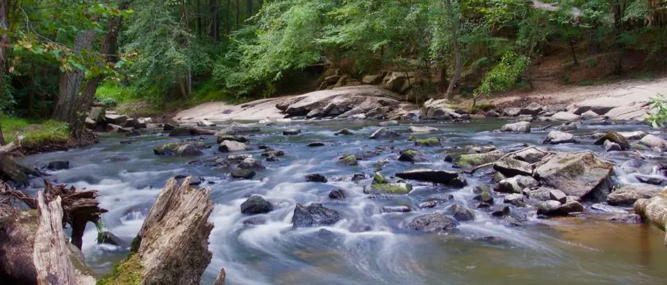 A creek running over grey rocks between wooded banks, with a mossy fallen trunk in the foreground