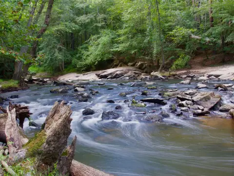 A creek running over grey rocks between wooded banks, with a mossy fallen trunk in the foreground