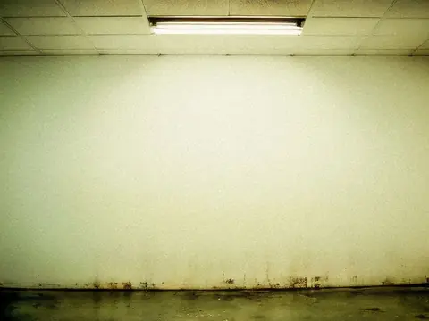 An empty room with a pale wall under a fluorescent ceiling light, dark stains along the foot of the wall and a dark mottled floor