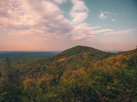A rounded wooded ridge rising above a wide forested plain under pink evening clouds, seen from a higher slope