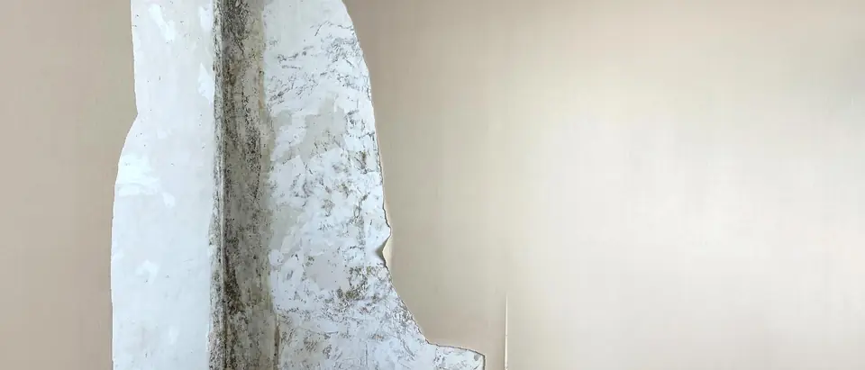 The corner of a room where beige wallpaper has been peeled back, showing dark mold spotting running down the bare plaster from the ceiling to the floor