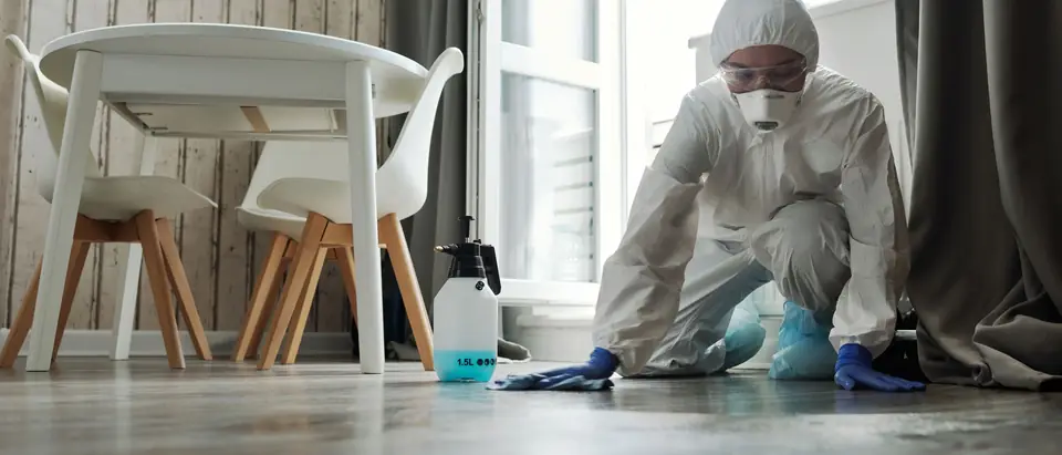 An adult in a white protective suit, mask, goggles and blue gloves kneeling to wipe a floor, a spray bottle standing beside them